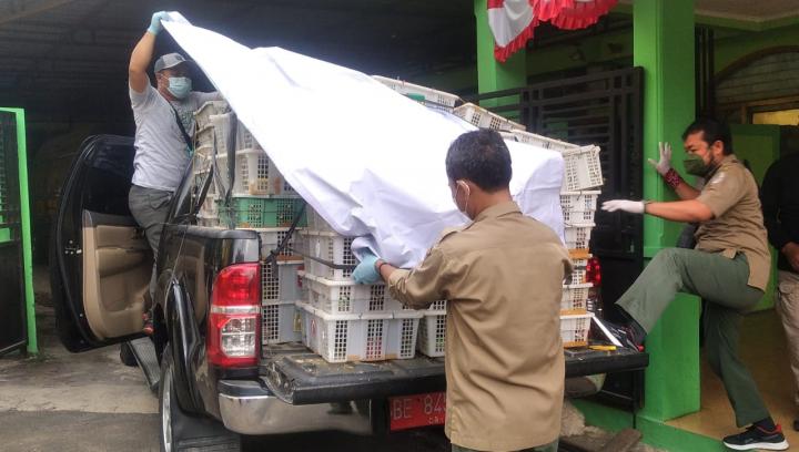 Penyeludupan Ribuan Burung Berhasil Diamankan BKSDA